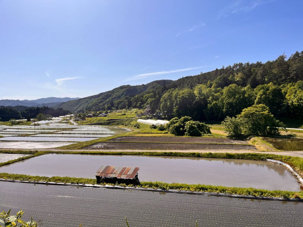 田園