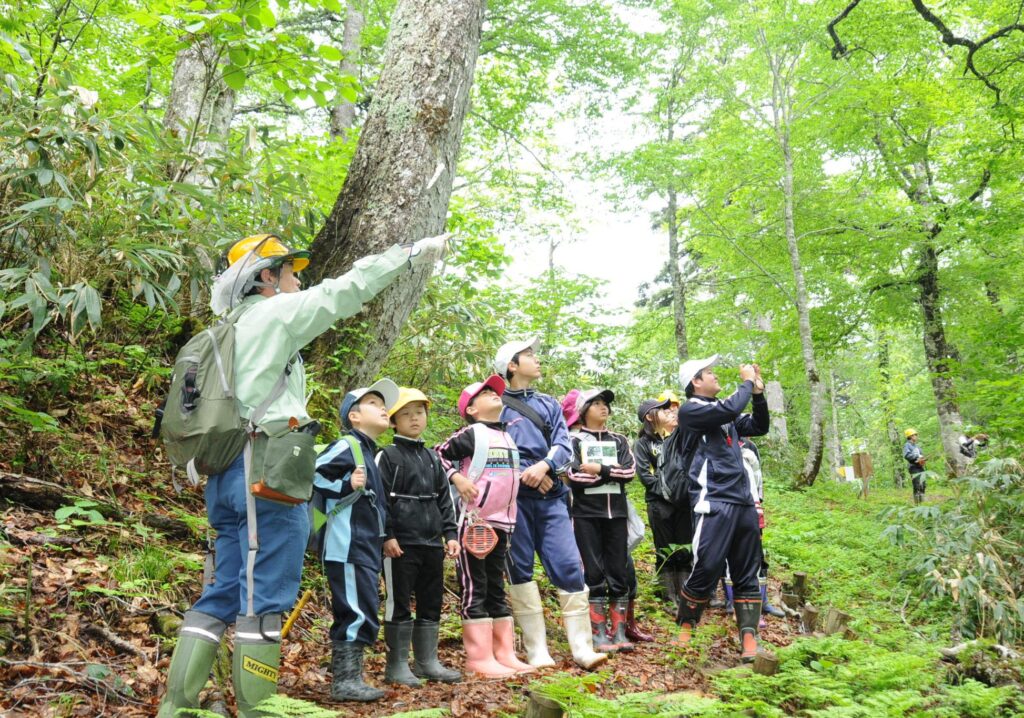 ブナやコメツガなどの原生林を観察する児童ら【2014.6.12岐阜新聞掲載】